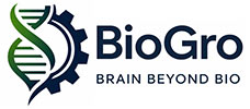 Main Logo